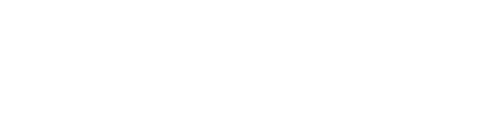 Logo Service Smart